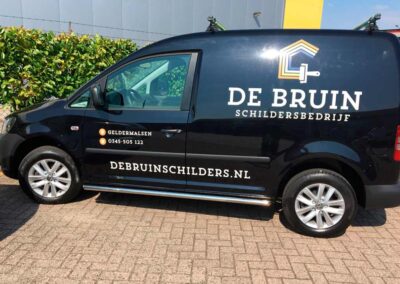 de Bruin schilders